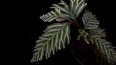 LINE_ALBUM_2026513_260513_92