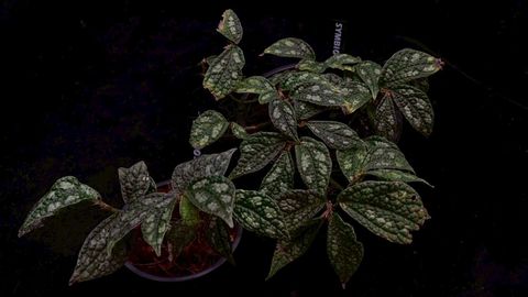LINE_ALBUM_2026513_260513_55