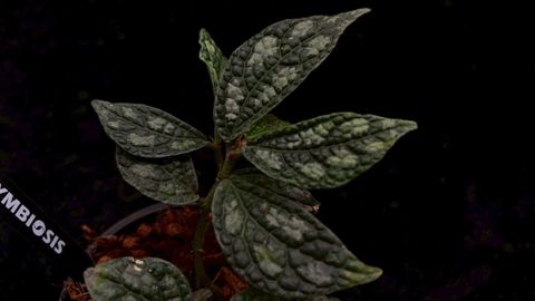 LINE_ALBUM_2026513_260513_59