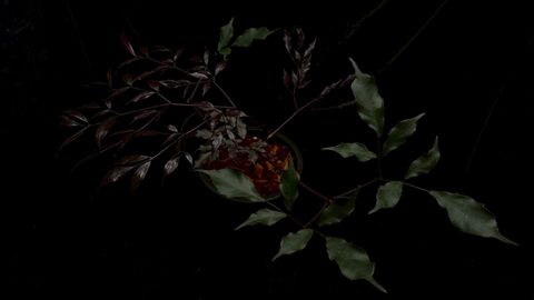 LINE_ALBUM_2026513_260513_7