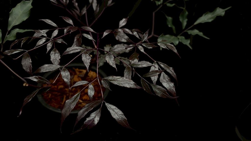 LINE_ALBUM_2026513_260513_2