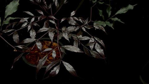 LINE_ALBUM_2026513_260513_2