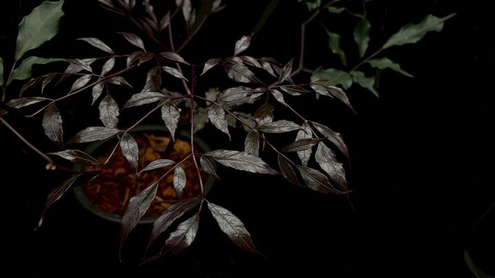 LINE_ALBUM_2026513_260513_2