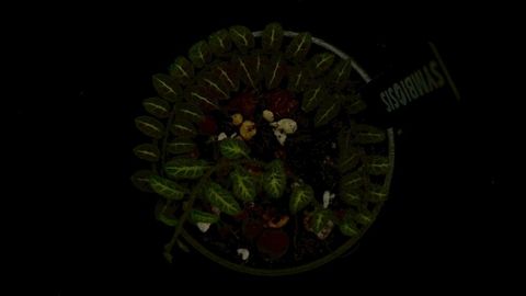 LINE_ALBUM_2026513_260513_16
