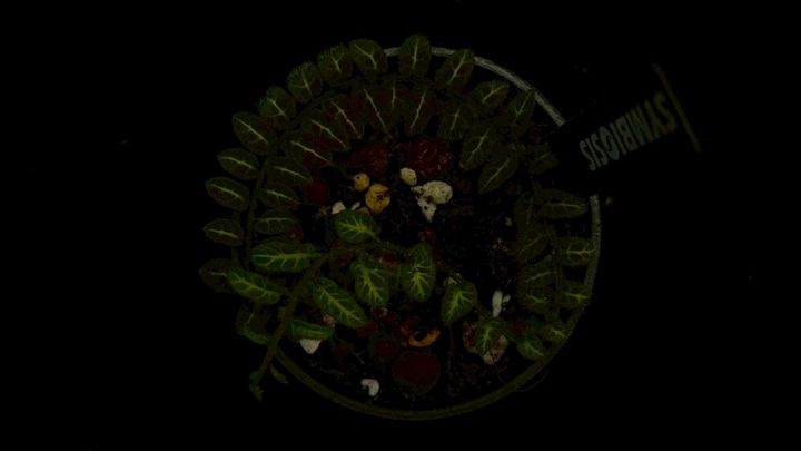 LINE_ALBUM_2026513_260513_16