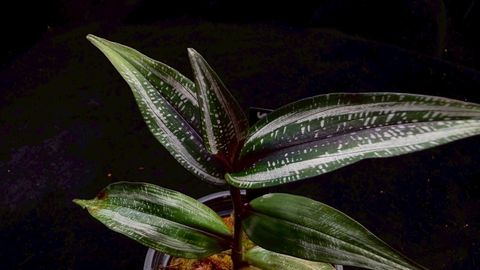 LINE_ALBUM_2026513_260513_67