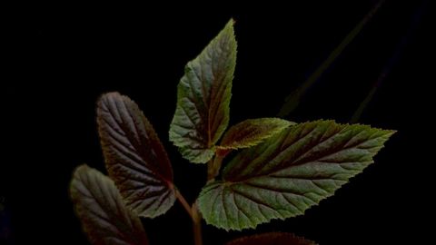LINE_ALBUM_2026513_260513_15