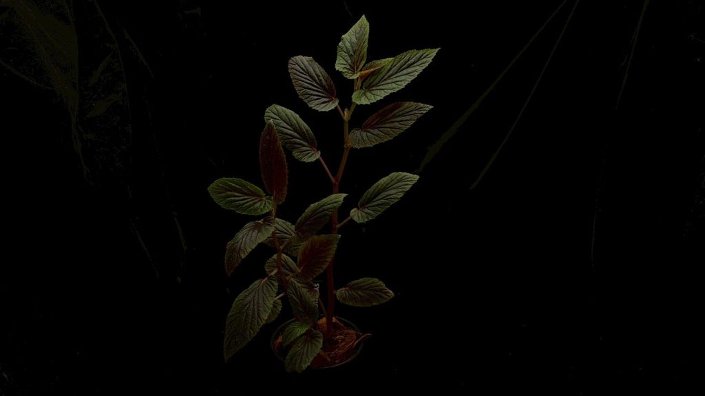 LINE_ALBUM_2026513_260513_18