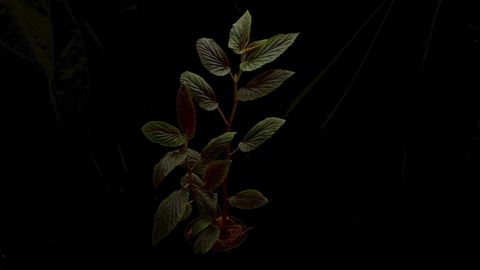 LINE_ALBUM_2026513_260513_18