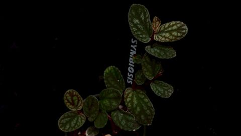 LINE_ALBUM_2026513_260513_42