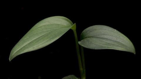 LINE_ALBUM_2026513_260513_82