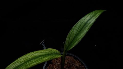 LINE_ALBUM_202685修_260813_84