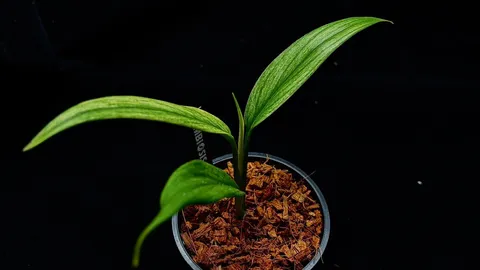LINE_ALBUM_202685修_260813_87