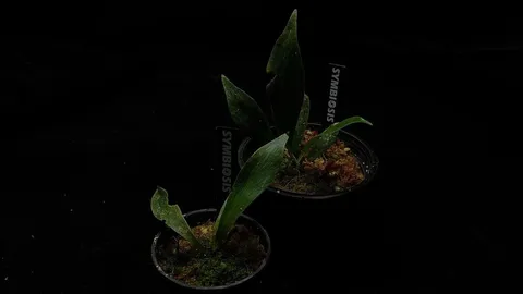 LINE_ALBUM_202685修_260813_7