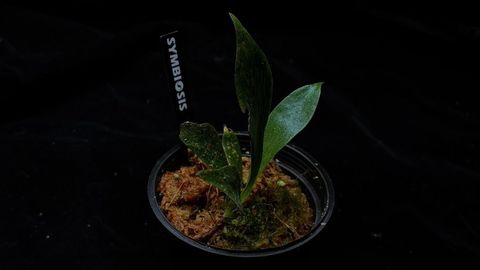 LINE_ALBUM_202685修_260813_9