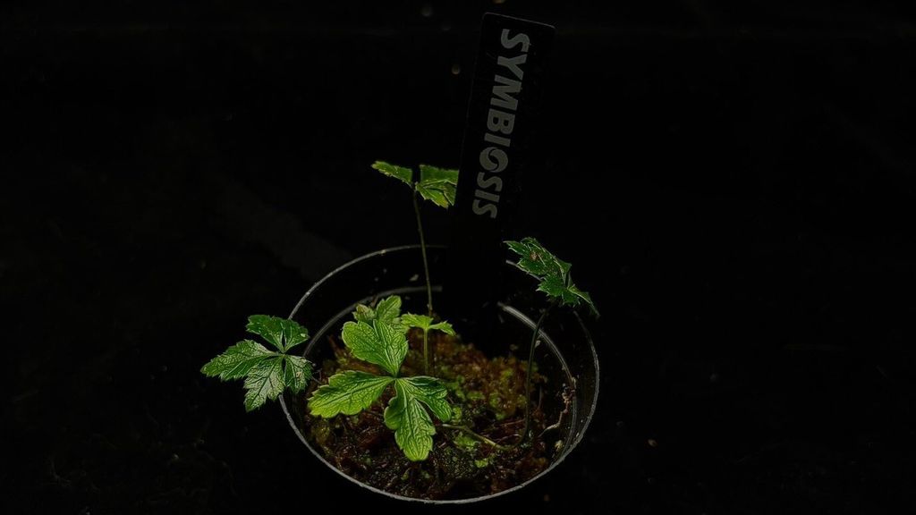 LINE_ALBUM_202685修_260813_81