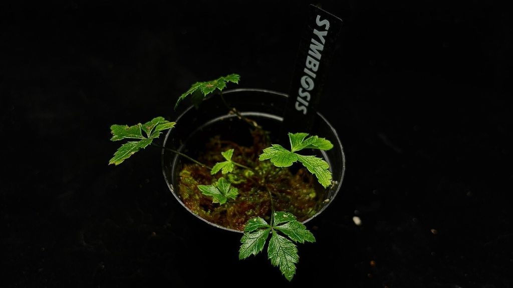 LINE_ALBUM_202685修_260813_82