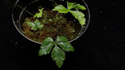 LINE_ALBUM_202685修_260813_80