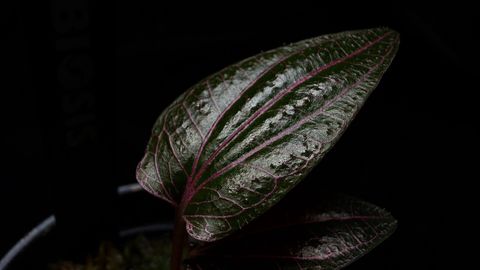LINE_ALBUM_202685修_260813_70