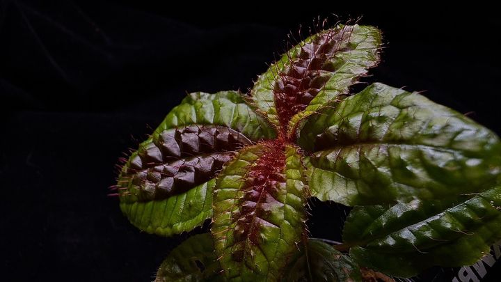 LINE_ALBUM_202685修_260813_54