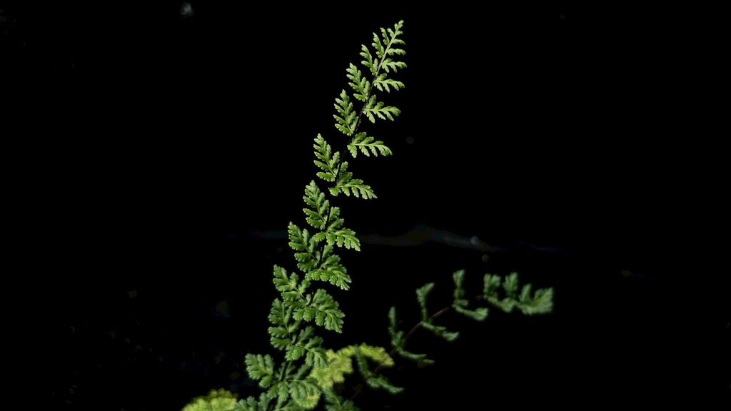 LINE_ALBUM_2025523_250523_15