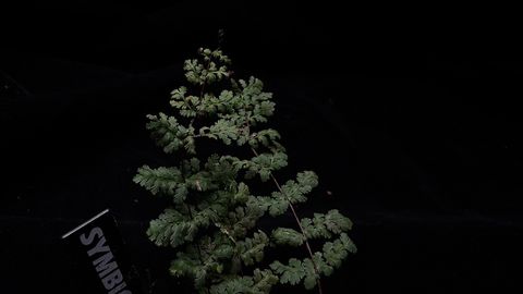 LINE_ALBUM_202685修_260813_93