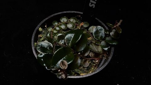 LINE_ALBUM_202685修_260813_51