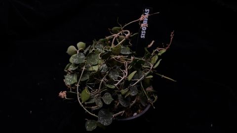 LINE_ALBUM_202685修_260813_21