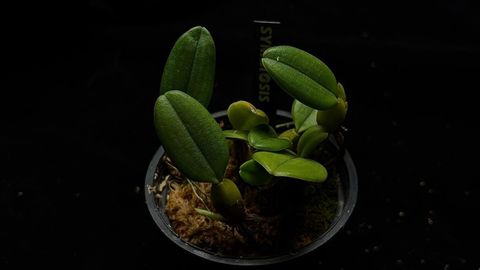LINE_ALBUM_202685修_260813_17
