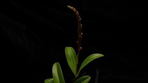 LINE_ALBUM_202685修_260813_14