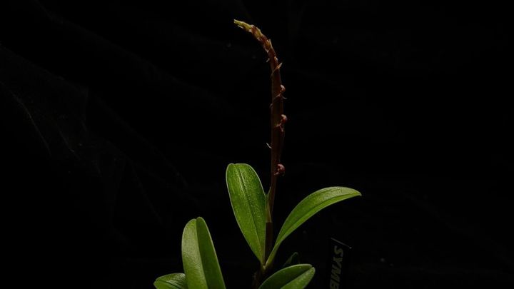 LINE_ALBUM_202685修_260813_14