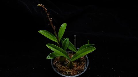 LINE_ALBUM_202685修_260813_16