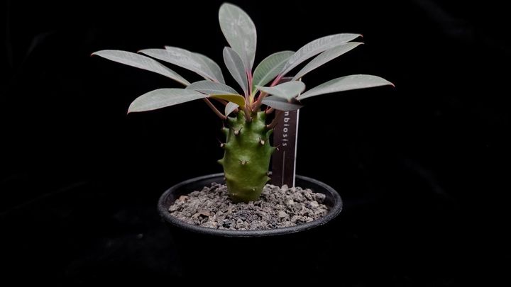 LINE_ALBUM_20231218_231230_37