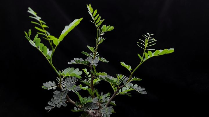 LINE_ALBUM_20231218_231230_8