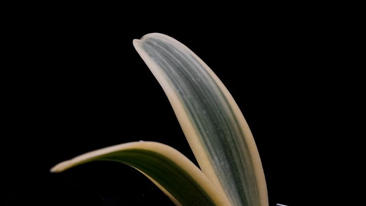 LINE_ALBUM_20240507_240508_9