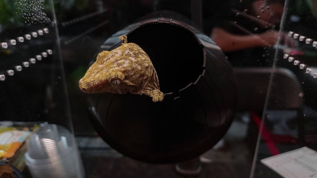 LINE_ALBUM_2024926_240926_130