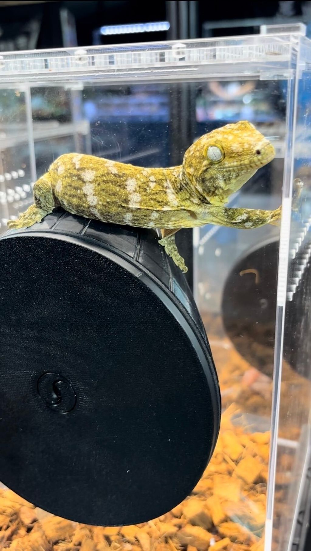 LINE_ALBUM_2024926_240926_17