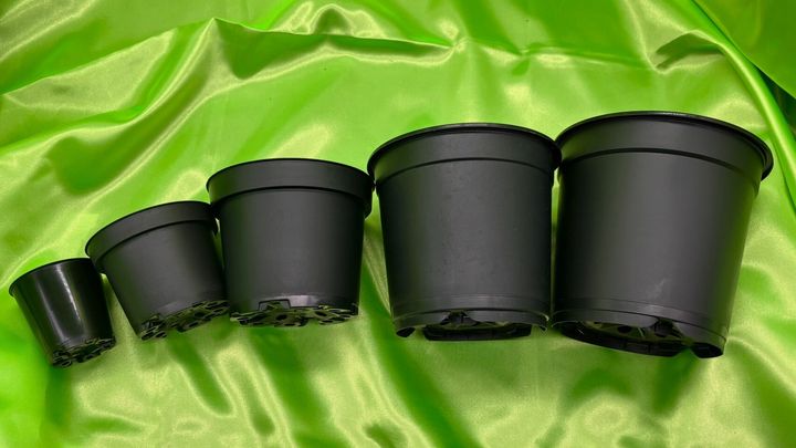 LINE_ALBUM_2024926_240926_111