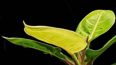 LINE_ALBUM_20241127_241127_5