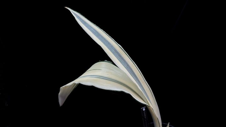 LINE_ALBUM_20241127_241127_103