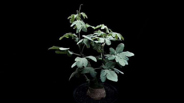 LINE_ALBUM_20241127_241127_2