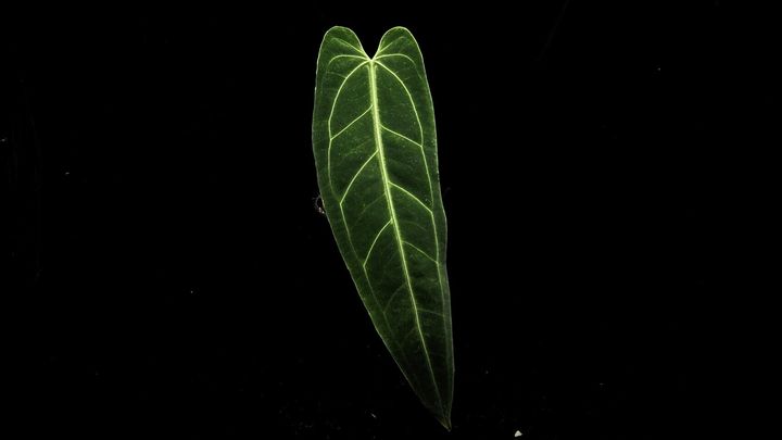 LINE_ALBUM_20241127_241127_22