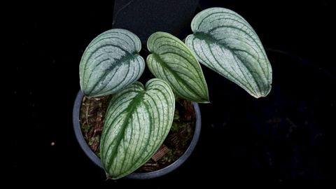 LINE_ALBUM_2025514_250514_31