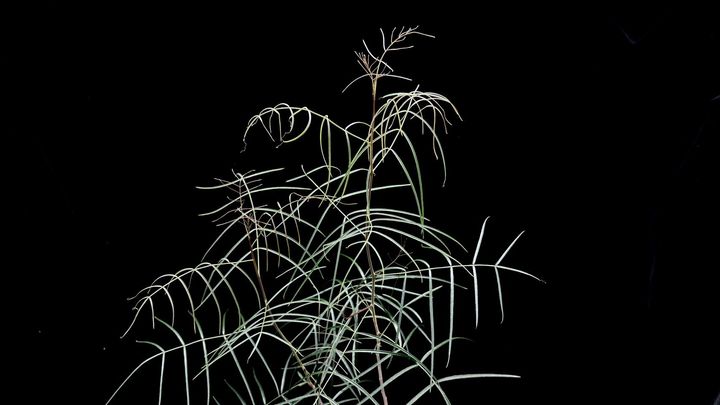 LINE_ALBUM_2025517_250517_26