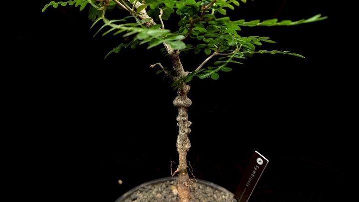 LINE_ALBUM_2025517_250517_5
