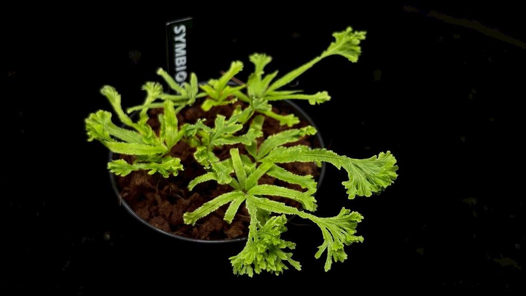 LINE_ALBUM_2025523_250523_4