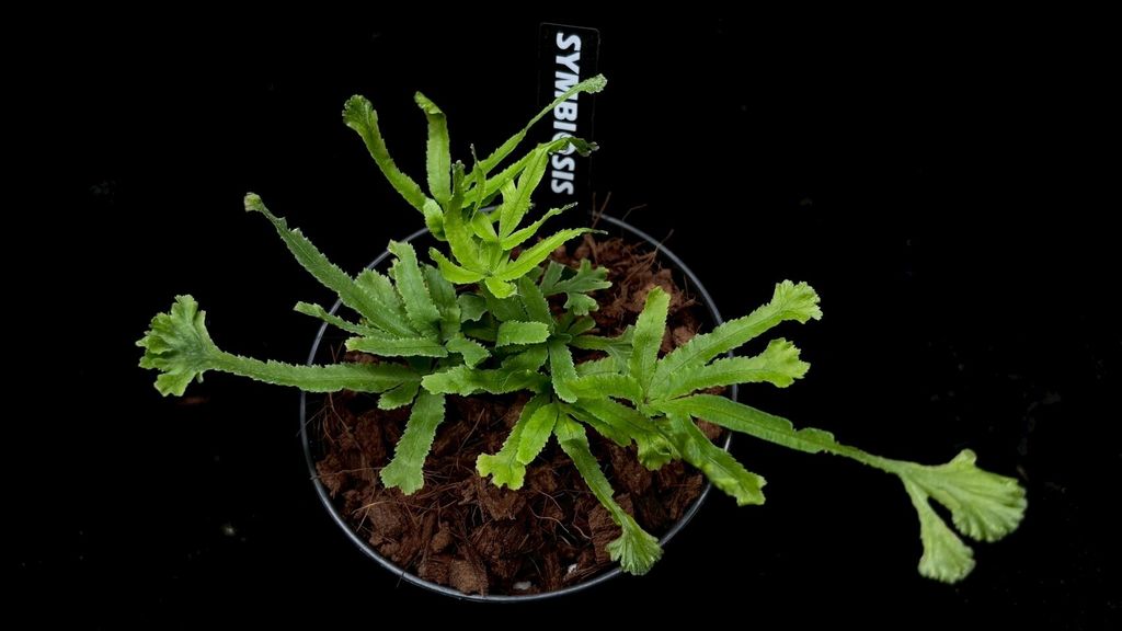 LINE_ALBUM_2025523_250523_3