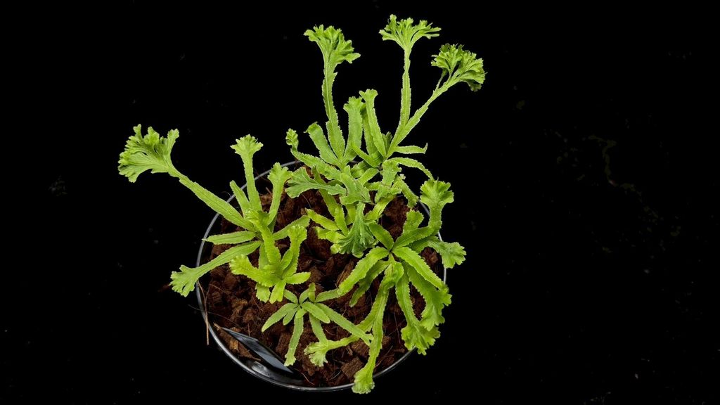 LINE_ALBUM_2025523_250523_2