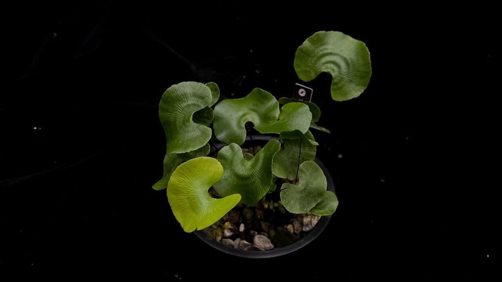 LINE_ALBUM_20240429上架_240429_30