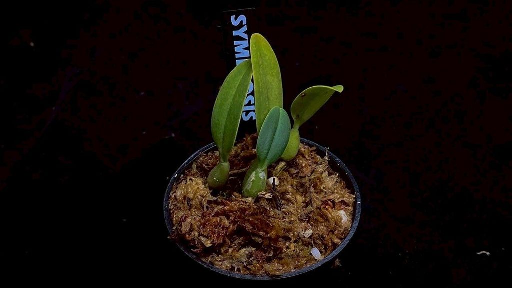 LINE_ALBUM_2025730_250730_39